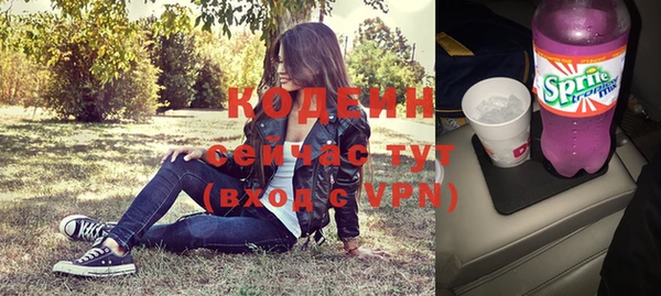 мет Елабуга