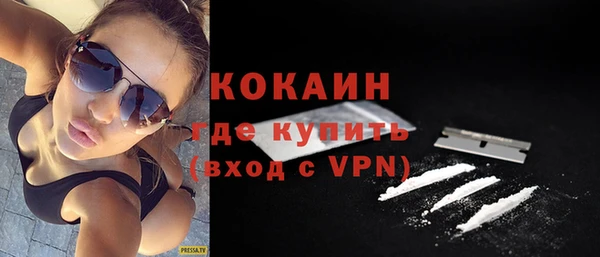 кокс Ельня