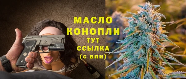 мет Елабуга