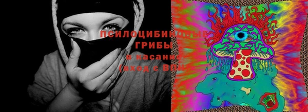 мет Елабуга