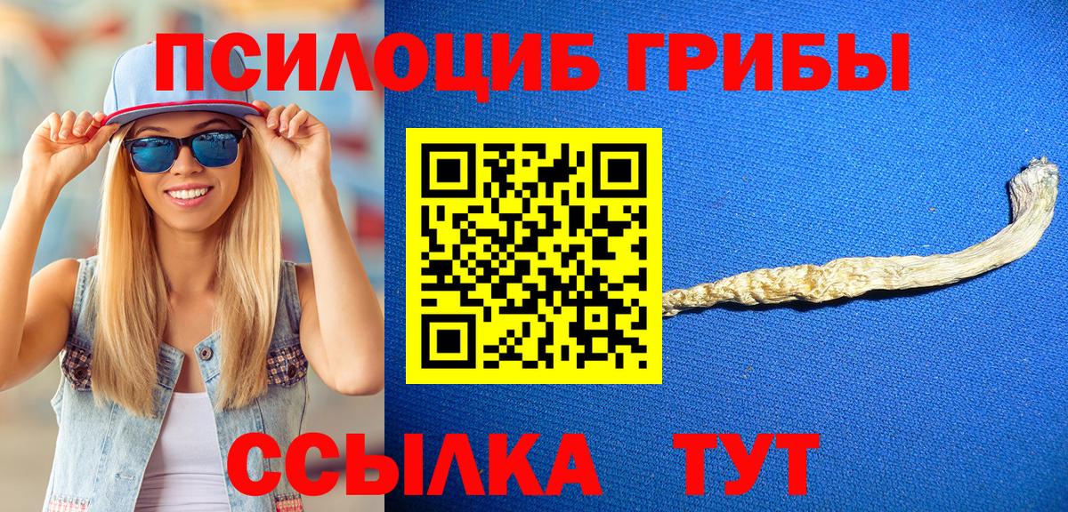 Псилоцибиновые грибы Psilocybine cubensis  Вход с VPN  Москва  Галлюциногенные грибы Psilocybine cubensis 